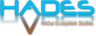 HADal Ecosystem Studies