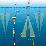 Irminger Sea Node