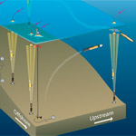 Pioneer Array