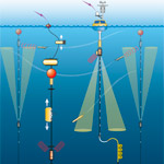 Southern Ocean Node