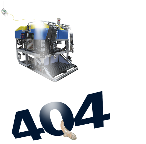 404