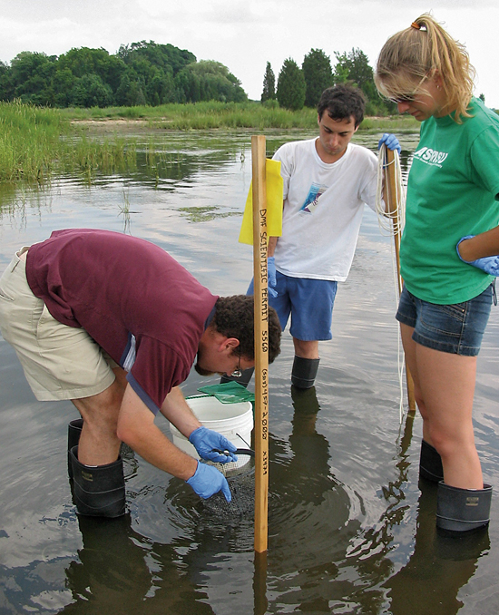 Postdoctoral Fellow Jed Goldstone (left) teaches Summer Student Fellows Thiago Parente (center) and Katie Barott to sample killifish.