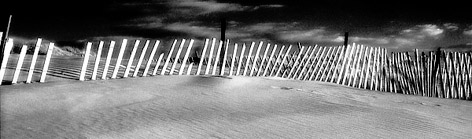 Dune Fence