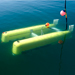 Nereus