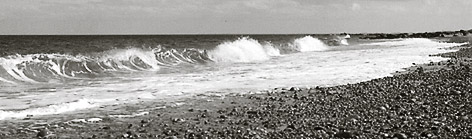 Waves
