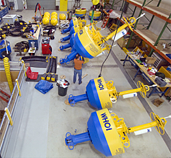 New Whale Detection Buoys Will Help Ships Take the Right Way through Marine Habitat
