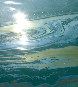 Study Reveals Microbes Dine on Thousands of Compounds in Oil