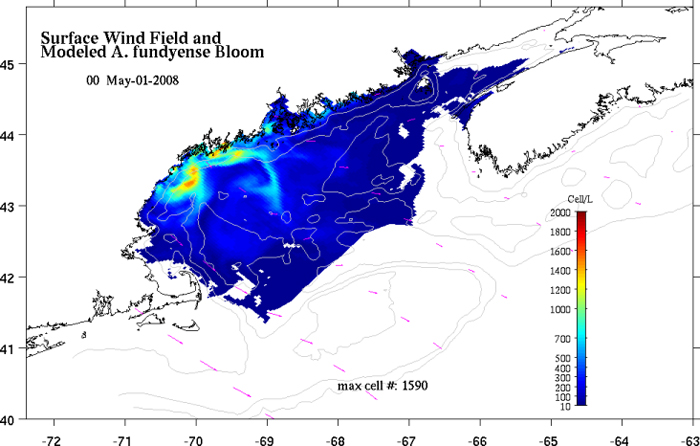 A near-real-time quasi-operational forecast of A. fundyense cells in the Gulf of Maine. 