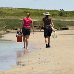 A Summer of Science on the Sea