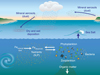 Dust storms sweep iron-rich particles (mineral aerosols) from the continents into the atmosphere.
