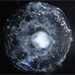The Mysterious Movements of Deep-Sea Larvae