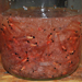 The Krill Blog