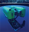 2009 Annual Report - PDF