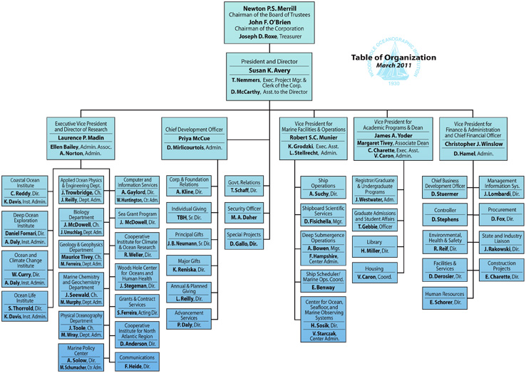 walmart canada organizational structure