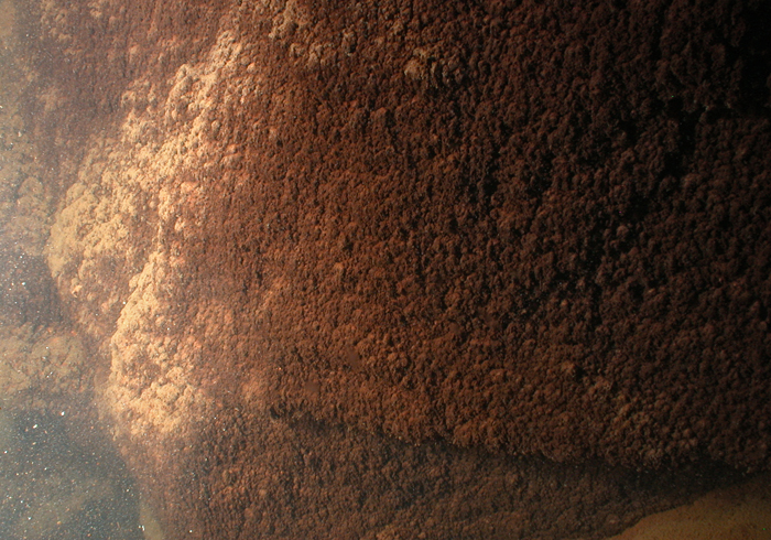 Bumpy surface of part of Pink Terraces in Lake Rotomahan, New Zealand