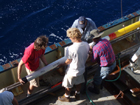 The core liner [full of stratified sediment] is received and cut into sections at the bottom of the core.