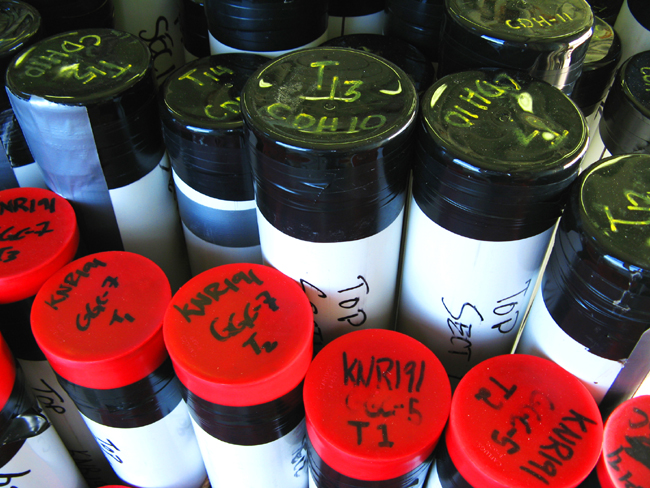 The results are stored onboard for further analysis.