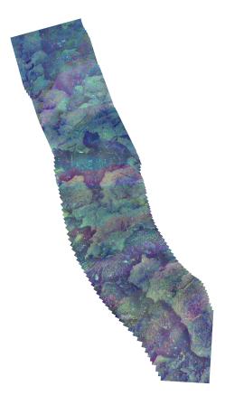 Lava flow front, EPR