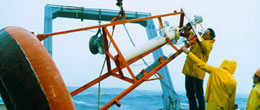 50 Years of the WHOI Buoy Group