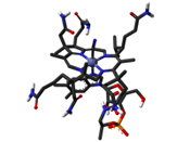 Cobalt and Vitamin B12 Biogeochemistry