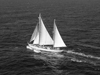<i>Atlantis</i>