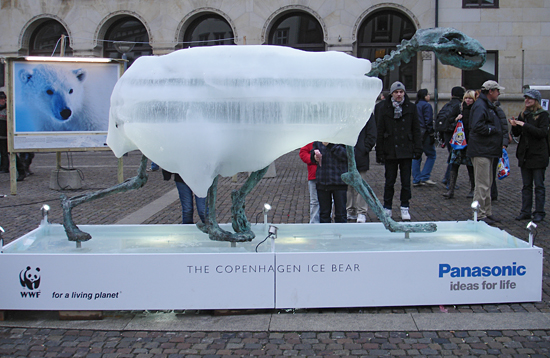 polar bear display