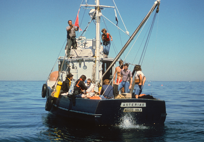 <i>Asterias</i>