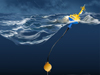 right whale detection buoy