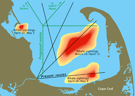Using five years of data on right whale sightings (red indicates more frequent sightings), researchers have proposed seasonal changes to shipping lanes to reduce ship-whale collisions.