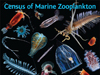 census of marine zooplankton poster
