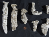 Jennifer Culbertson's plaster casts of Fiddler crab holes.