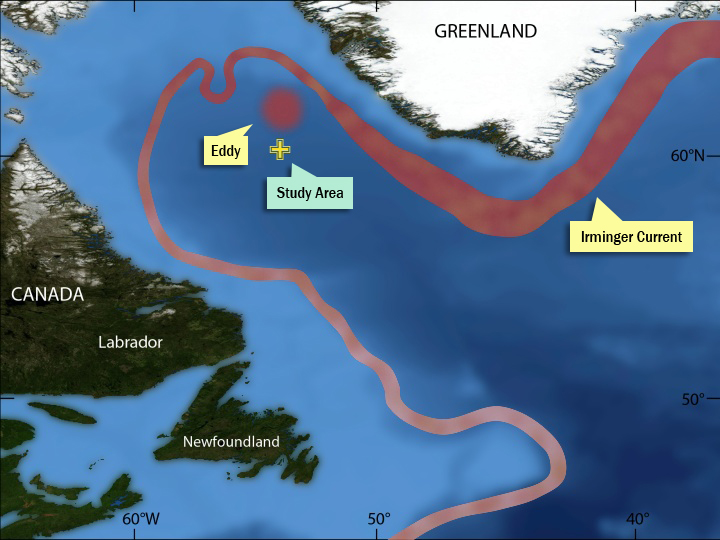 Irminger Current