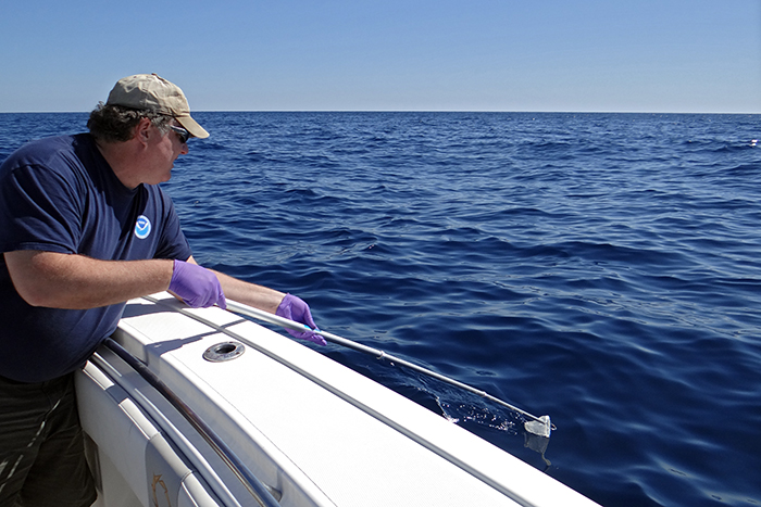 Bob Nelson using teflon dip net to collect oil from surface of Gulf of Mexico