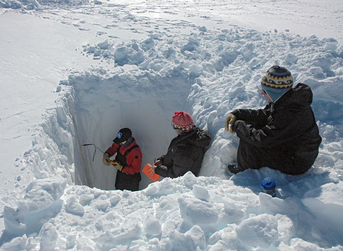 Arctic snow pit