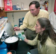 researchers at work
