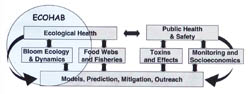 ECOHAB chart