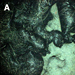 Researchers Compile Most Detailed Map of an Underwater Eruption
