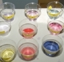 Tom Kleindinst photo of colored water