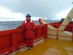 Elephant Island in Drake Passage