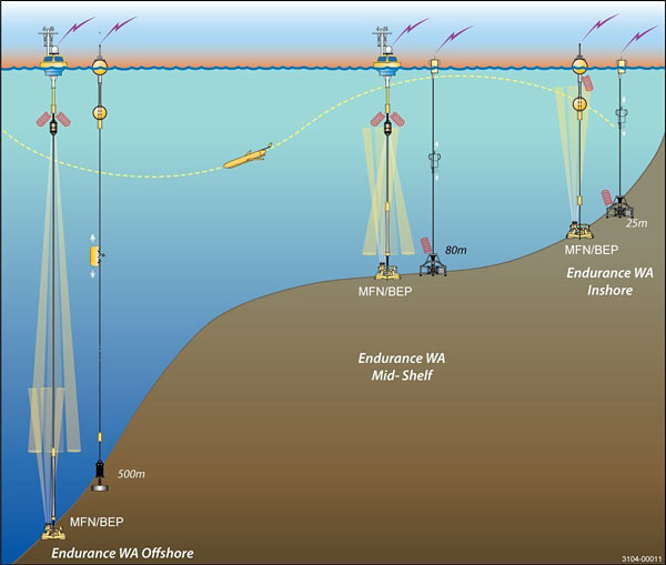 Schematic of the Endurance Array, Grays Harbor Line