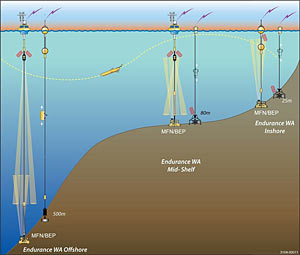 Endurance Array Grays Harbor Line