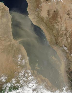 photo of Red Sea