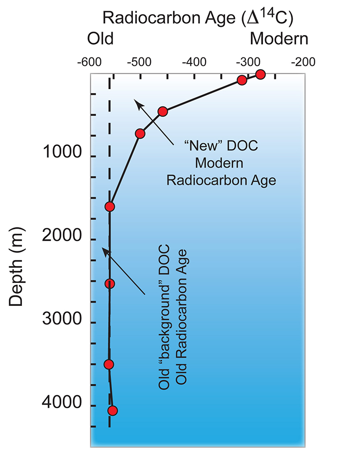 Carbon dating description