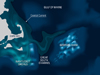 diagram of how copepods aggregate in the Great South Channel
