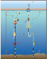 Global Mooring Group