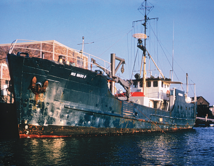 <i>Gosnold</i>