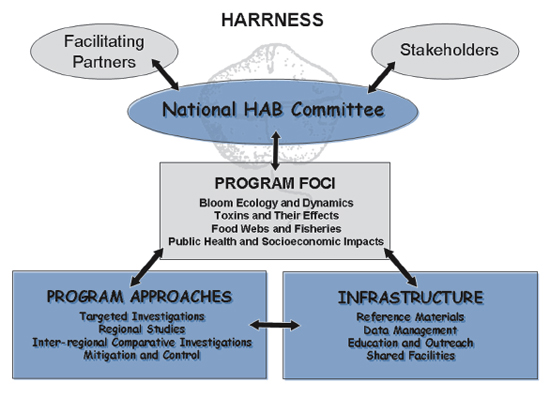 HARRNESS Chart