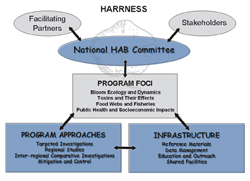 HARRNESS Chart