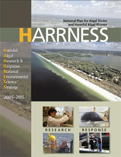 HARRNESS