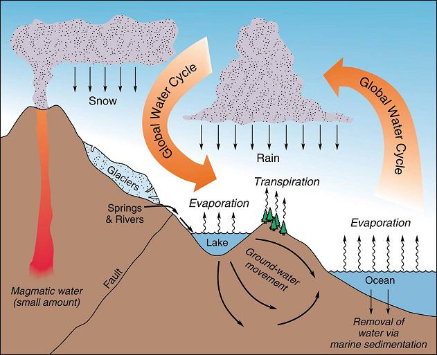 Most depicitons of the global water cycle downplay the ocean's importance